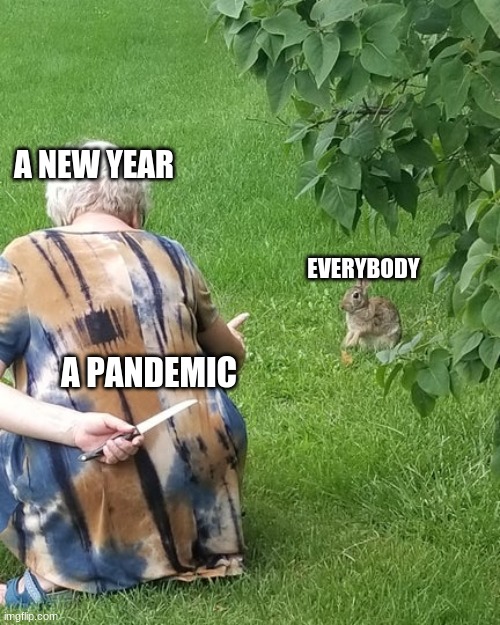 2020 | A NEW YEAR; EVERYBODY; A PANDEMIC | image tagged in grandma hiding knife rabbit,memes | made w/ Imgflip meme maker
