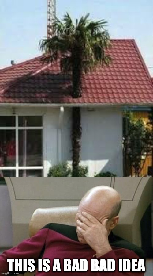 High winds are not good here... | THIS IS A BAD BAD IDEA | image tagged in captain picard facepalm,funny,you had one job just the one,design fails,trees | made w/ Imgflip meme maker