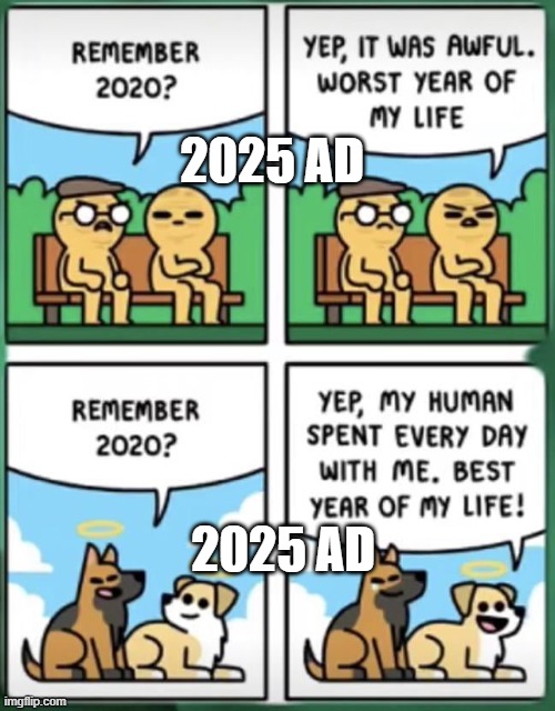 Conversations Amongst Dogz And Humanz 3 | 2025 AD; 2025 AD | image tagged in dog-human talk 3,dogs,humans,2020,2025,chat | made w/ Imgflip meme maker