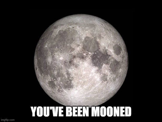 Mooned Memes GIFs Imgflip