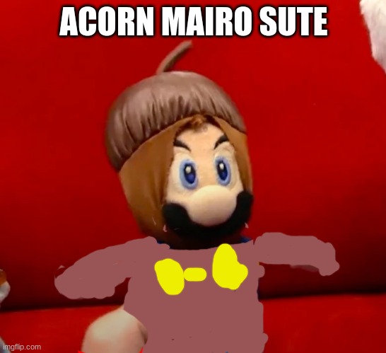 Acorn Mario Head | ACORN MAIRO SUTE | image tagged in acorn mario head | made w/ Imgflip meme maker