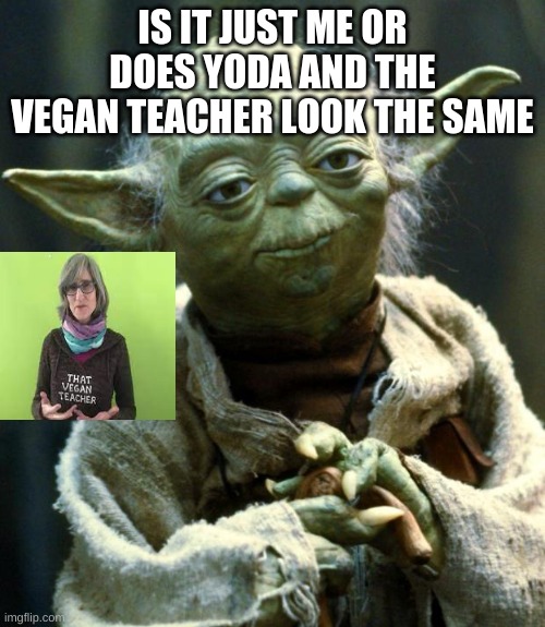 Star Wars Yoda | IS IT JUST ME OR DOES YODA AND THE VEGAN TEACHER LOOK THE SAME | image tagged in memes,star wars yoda | made w/ Imgflip meme maker