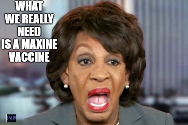 Maxine Vaccine | WHAT WE REALLY NEED IS A MAXINE VACCINE | image tagged in maxine waters,vaccine,funny | made w/ Imgflip meme maker