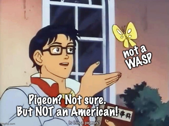 ANIME BUTTERFLY MEME | Pigeon? Not sure.
But NOT an American! not a 
WASP | image tagged in anime butterfly meme | made w/ Imgflip meme maker
