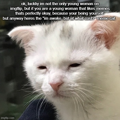 I'm awake, but at what cost? | ok, luckliy im not the only young woman on imgflip, but if you are a young woman that likes memes thats perfectly okay, because your being yourself. but anyway heres the "im awake, but at what cost?'' meme cat. | image tagged in i'm awake but at what cost | made w/ Imgflip meme maker