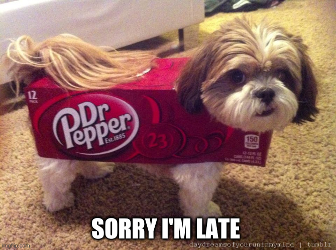 Dr Pepper Costume | SORRY I'M LATE | image tagged in dr pepper costume | made w/ Imgflip meme maker