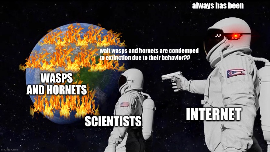 wasps and hornets are just | always has been; wait wasps and hornets are condemned to extinction due to their behavior?? WASPS AND HORNETS; INTERNET; SCIENTISTS | image tagged in memes,always has been | made w/ Imgflip meme maker