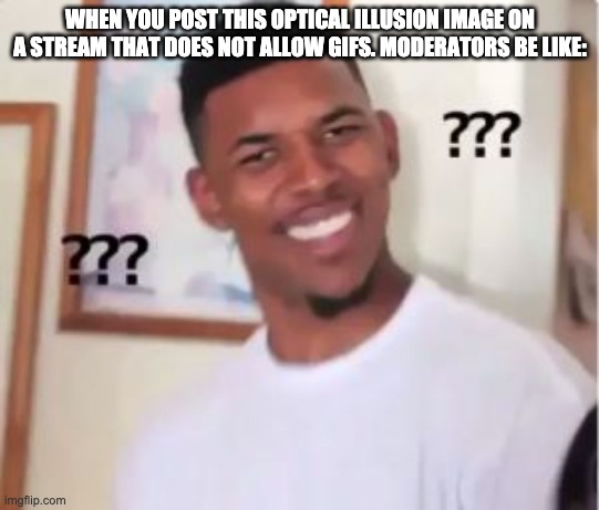 Nick Young | WHEN YOU POST THIS OPTICAL ILLUSION IMAGE ON A STREAM THAT DOES NOT ALLOW GIFS. MODERATORS BE LIKE: | image tagged in nick young | made w/ Imgflip meme maker