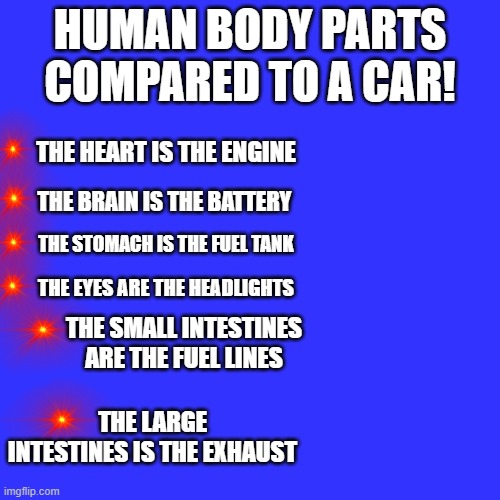 Human Body Parts compared to a Car! (Part 2 will be later on!) | HUMAN BODY PARTS COMPARED TO A CAR! THE HEART IS THE ENGINE; THE BRAIN IS THE BATTERY; THE STOMACH IS THE FUEL TANK; THE EYES ARE THE HEADLIGHTS; THE SMALL INTESTINES ARE THE FUEL LINES; THE LARGE INTESTINES IS THE EXHAUST | image tagged in memes,blank transparent square | made w/ Imgflip meme maker