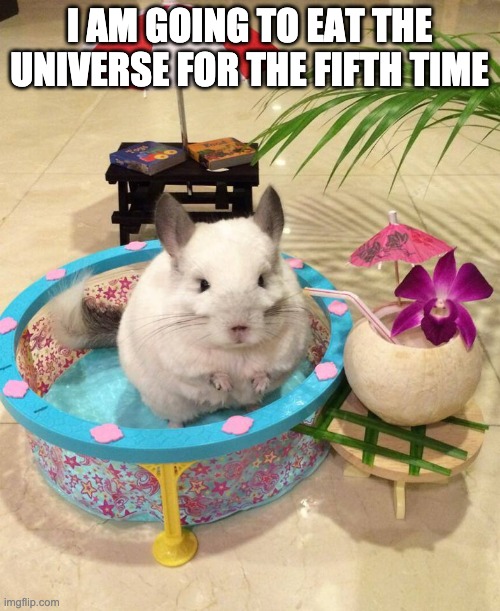 Chinchilla Chinchillin  | I AM GOING TO EAT THE UNIVERSE FOR THE FIFTH TIME | image tagged in chinchilla chinchillin | made w/ Imgflip meme maker