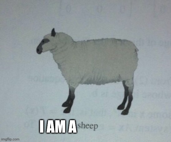 I need sleep | I AM A | made w/ Imgflip meme maker