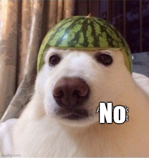 Anti bonk helmet | No | image tagged in anti bonk helmet | made w/ Imgflip meme maker