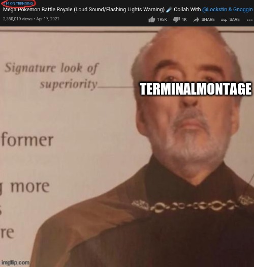 TERMINALMONTAGE | image tagged in signature look of superiority,terminakmontage | made w/ Imgflip meme maker