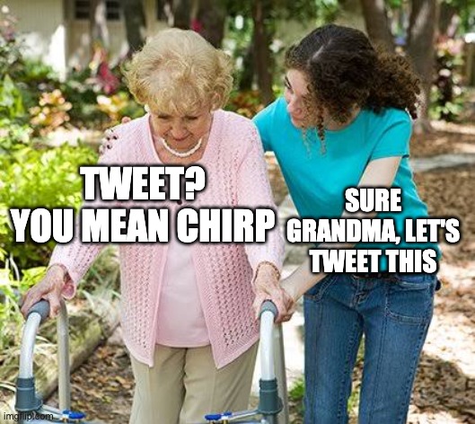 Sure grandma let's get you to bed | TWEET? YOU MEAN CHIRP SURE GRANDMA, LET'S TWEET THIS | image tagged in sure grandma let's get you to bed | made w/ Imgflip meme maker