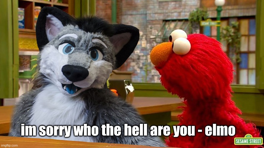 *wheeze* | im sorry who the hell are you - elmo | image tagged in furry in sesame street | made w/ Imgflip meme maker