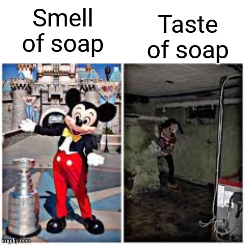Soap in a Shellshell |  Taste of soap; Smell of soap | image tagged in mickey mouse in disneyland,soap | made w/ Imgflip meme maker