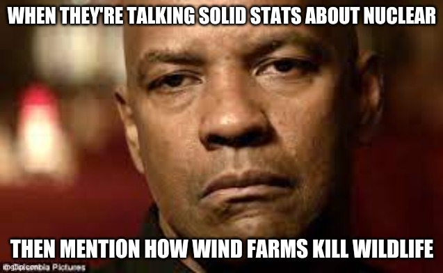 Denzel is not pleased | WHEN THEY'RE TALKING SOLID STATS ABOUT NUCLEAR; THEN MENTION HOW WIND FARMS KILL WILDLIFE | image tagged in renewable energy,environmental protection agency,environment,misinformation,idiots | made w/ Imgflip meme maker