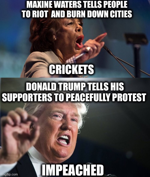 The real threats to America are the people accusing others of being threats to America | MAXINE WATERS TELLS PEOPLE TO RIOT  AND BURN DOWN CITIES; CRICKETS; DONALD TRUMP TELLS HIS SUPPORTERS TO PEACEFULLY PROTEST; IMPEACHED | image tagged in donald trump,maxine waters,liberal hypocrisy,liberal logic,democrats,memes | made w/ Imgflip meme maker