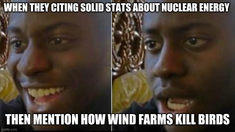 Wind farms | WHEN THEY CITING SOLID STATS ABOUT NUCLEAR ENERGY; THEN MENTION HOW WIND FARMS KILL BIRDS | image tagged in renewable energy,policy,qanon,trump,donald trump,fossil fuel | made w/ Imgflip meme maker