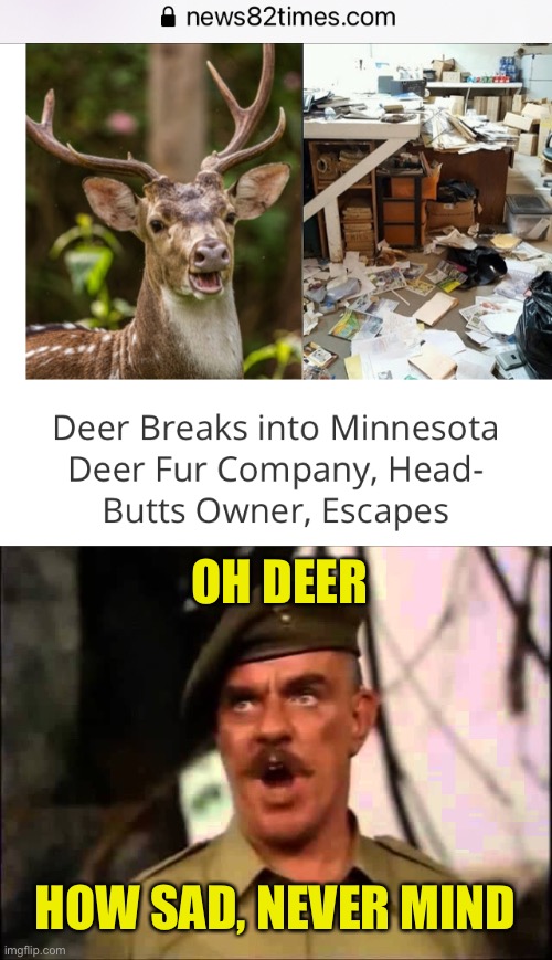 Oh Dear, how sad, never mind! | OH DEER; HOW SAD, NEVER MIND | image tagged in aint half hot mum,oh dear,headlines,deer | made w/ Imgflip meme maker