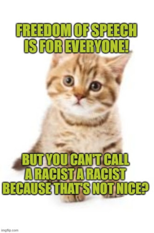 Freedom of speech is for everyone! Really? Always? | image tagged in freedom of speech,lolcat,racism | made w/ Imgflip meme maker