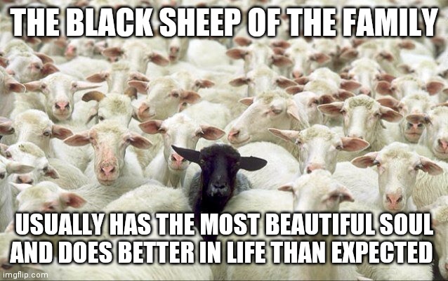 Black Sheep of The Family | THE BLACK SHEEP OF THE FAMILY; USUALLY HAS THE MOST BEAUTIFUL SOUL AND DOES BETTER IN LIFE THAN EXPECTED | image tagged in black sheep of the family,memes | made w/ Imgflip meme maker