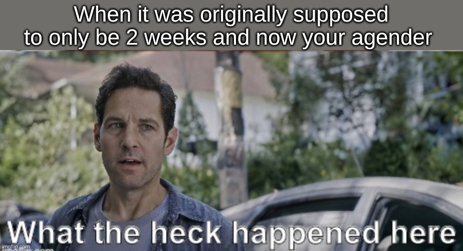 Being away from people for 5 month did shit- | When it was originally supposed to only be 2 weeks and now your agender | image tagged in antman what the heck happened here | made w/ Imgflip meme maker