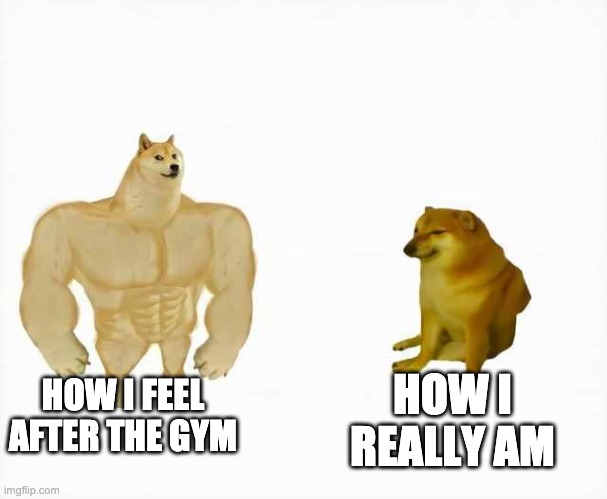 its sadly true | HOW I FEEL AFTER THE GYM; HOW I REALLY AM | image tagged in strong dog vs weak dog,gym,buff doge vs cheems,memes,how i feel,tags | made w/ Imgflip meme maker