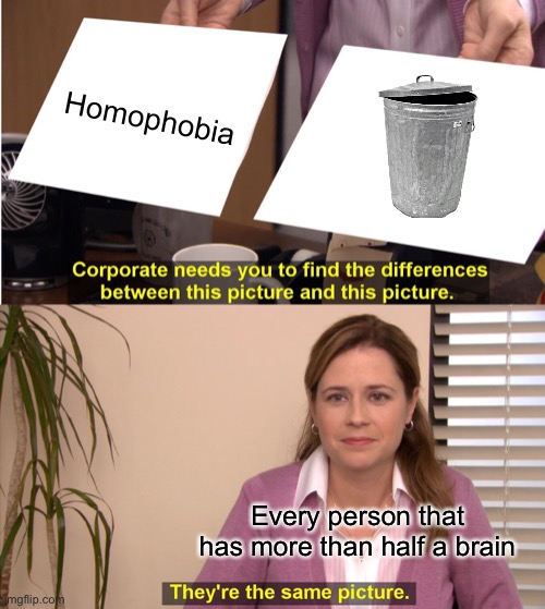 They're The Same Picture Meme | Homophobia Every person that has more than half a brain | image tagged in memes,they're the same picture | made w/ Imgflip meme maker