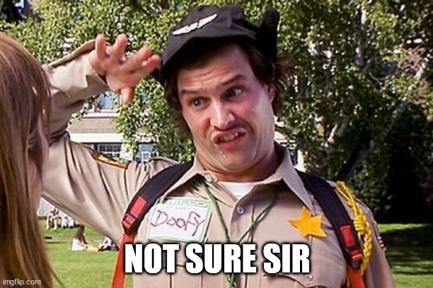 Special Officer Doofy | NOT SURE SIR | image tagged in special officer doofy | made w/ Imgflip meme maker