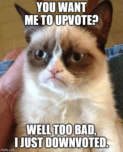 *insert title here* | YOU WANT ME TO UPVOTE? WELL TOO BAD, I JUST DOWNVOTED. | image tagged in memes,grumpy cat | made w/ Imgflip meme maker