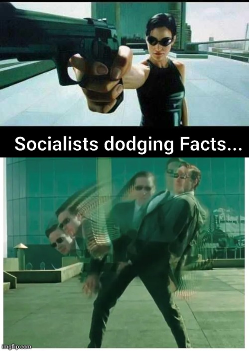 Socialists dodging factss | Socialists dodging Facts... | image tagged in lol so funny | made w/ Imgflip meme maker