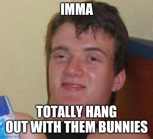 10 Guy Meme | IMMA TOTALLY HANG OUT WITH THEM BUNNIES | image tagged in memes,10 guy | made w/ Imgflip meme maker
