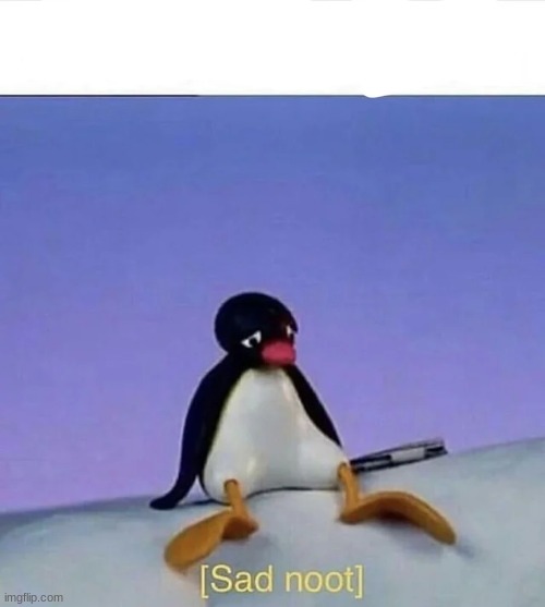 Sad noot | image tagged in sad noot | made w/ Imgflip meme maker