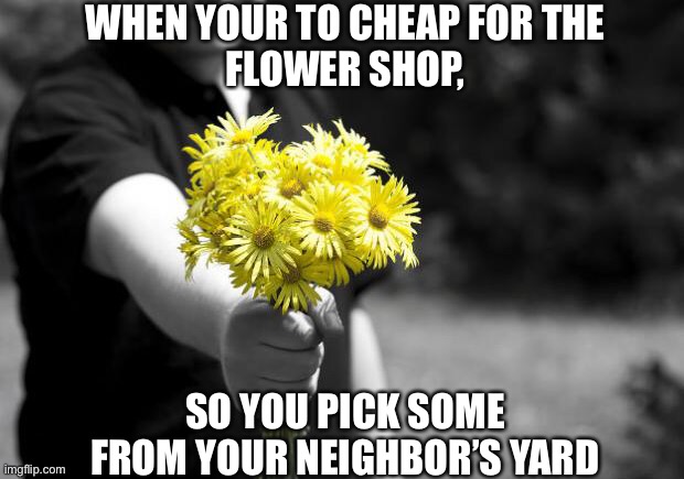 Giving flowers | WHEN YOUR TO CHEAP FOR THE
FLOWER SHOP, SO YOU PICK SOME FROM YOUR NEIGHBOR’S YARD | image tagged in giving flowers | made w/ Imgflip meme maker