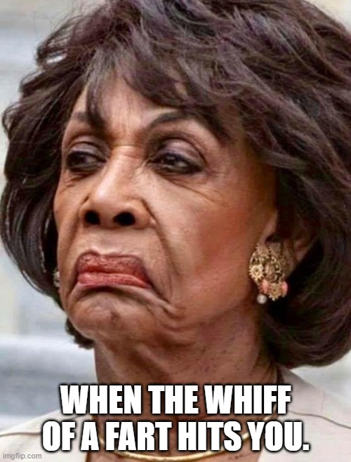 Maxine Waters | WHEN THE WHIFF OF A FART HITS YOU. | image tagged in maxine waters | made w/ Imgflip meme maker