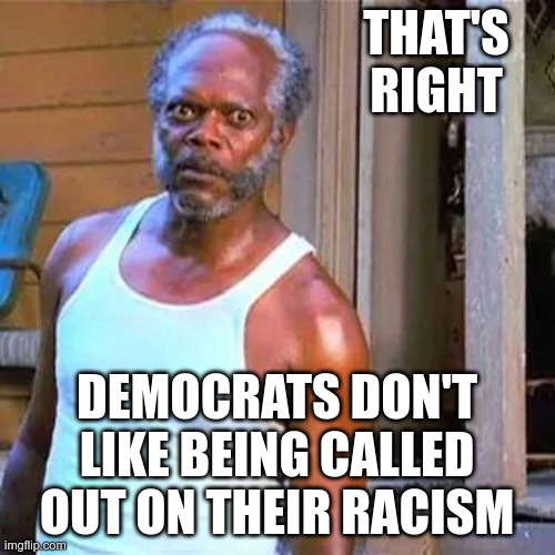 Samuel Jackson | THAT'S RIGHT DEMOCRATS DON'T LIKE BEING CALLED OUT ON THEIR RACISM | image tagged in samuel jackson | made w/ Imgflip meme maker