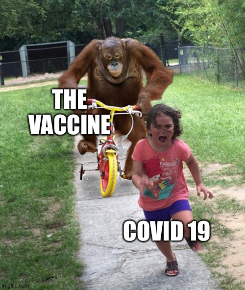 Orangutan chasing girl on a tricycle | THE VACCINE; COVID 19 | image tagged in orangutan chasing girl on a tricycle | made w/ Imgflip meme maker