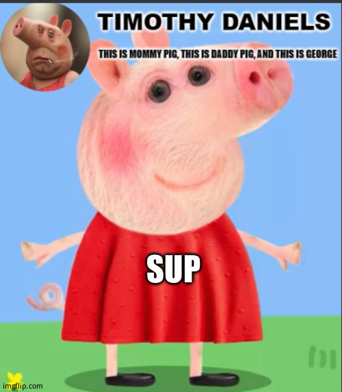 daniels peppa pig template | SUP | image tagged in daniels peppa pig template | made w/ Imgflip meme maker