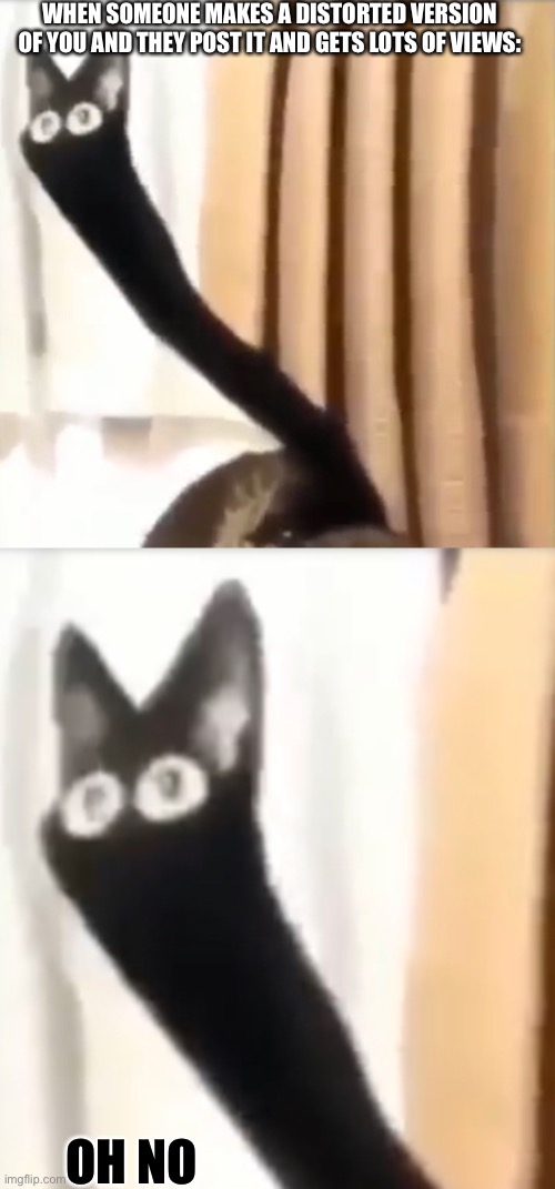 H m m m | WHEN SOMEONE MAKES A DISTORTED VERSION OF YOU AND THEY POST IT AND GETS LOTS OF VIEWS:; OH NO | image tagged in oh no black cat,hmmm,goodbye | made w/ Imgflip meme maker