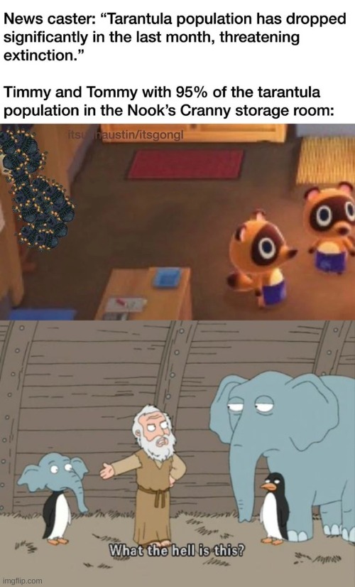 w h y | image tagged in what the hell is this | made w/ Imgflip meme maker