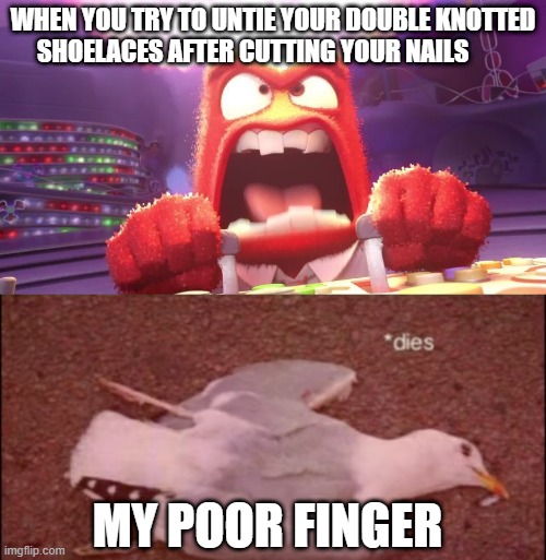 WHEN YOU TRY TO UNTIE YOUR DOUBLE KNOTTED SHOELACES AFTER CUTTING YOUR NAILS; MY POOR FINGER | image tagged in inside out anger,seagull dies,oof,pain,relatable,shoes | made w/ Imgflip meme maker