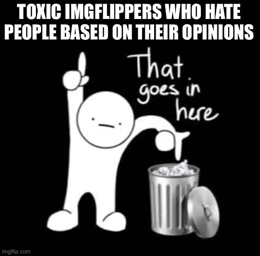 Stop hating people based on their opinions. | TOXIC IMGFLIPPERS WHO HATE PEOPLE BASED ON THEIR OPINIONS | image tagged in that goes in here,trash | made w/ Imgflip meme maker