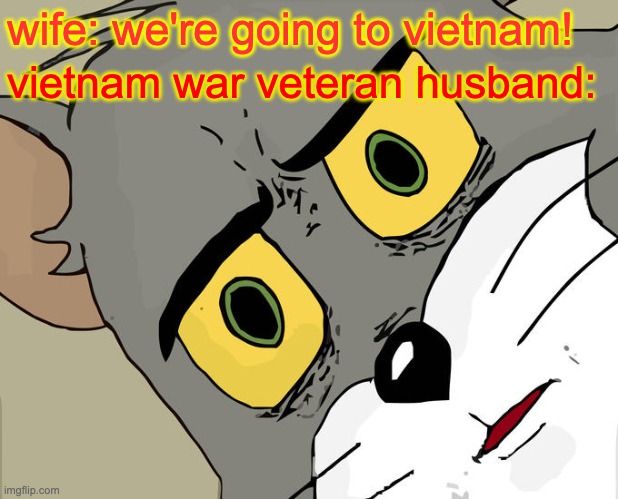 Unsettled Tom Meme | wife: we're going to vietnam! vietnam war veteran husband: | image tagged in memes,unsettled tom | made w/ Imgflip meme maker