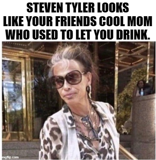 STEVEN TYLER LOOKS LIKE YOUR FRIENDS COOL MOM WHO USED TO LET YOU DRINK. | made w/ Imgflip meme maker