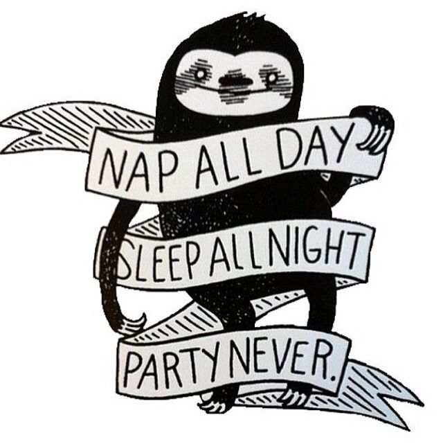 Sloth nap all day sleep all night party never Blank Meme Template