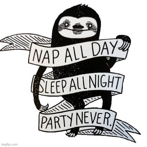 The way of the SLOTH | image tagged in sloth nap all day sleep all night party never | made w/ Imgflip meme maker