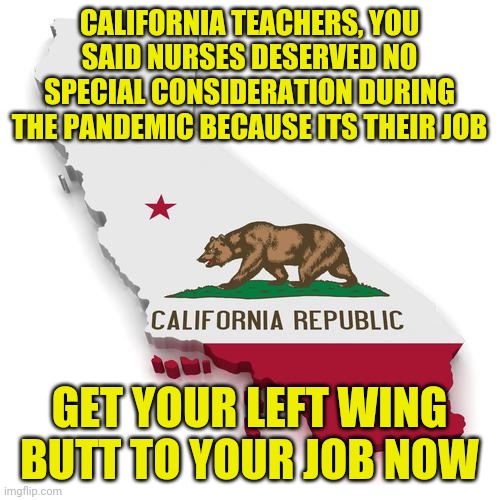 Do liberals want stupid kids? What more proof is needed? | CALIFORNIA TEACHERS, YOU SAID NURSES DESERVED NO SPECIAL CONSIDERATION DURING THE PANDEMIC BECAUSE ITS THEIR JOB; GET YOUR LEFT WING BUTT TO YOUR JOB NOW | image tagged in california,teachers,double standards | made w/ Imgflip meme maker