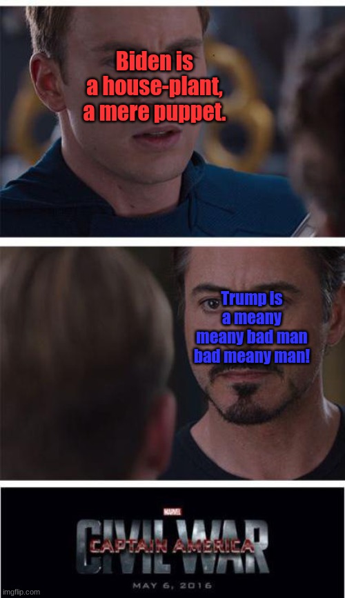 Marvel Civil War 1 Meme | Biden is a house-plant, a mere puppet. Trump is a meany meany bad man bad meany man! | image tagged in memes,marvel civil war 1 | made w/ Imgflip meme maker