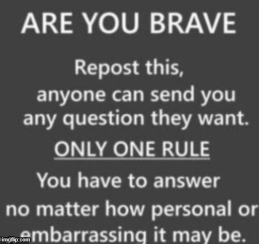 y not | image tagged in why am i doing this | made w/ Imgflip meme maker